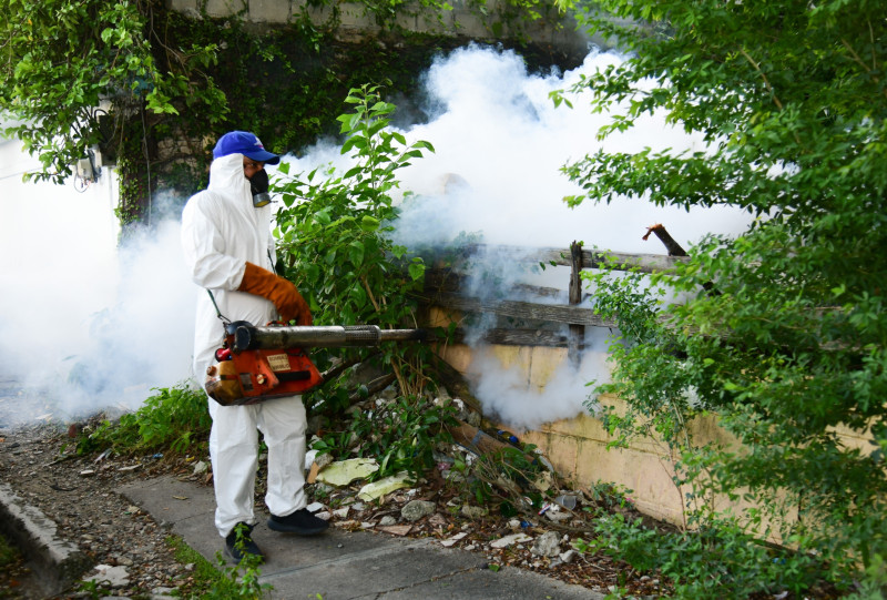 El 2025 termina sin ninguna muerte por dengue, afirma MSP